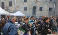 11. fešta od vina u Gračišću - od podruma do podruma sa čašicom